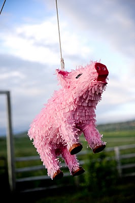 pink pig pinata  rachael grace photography